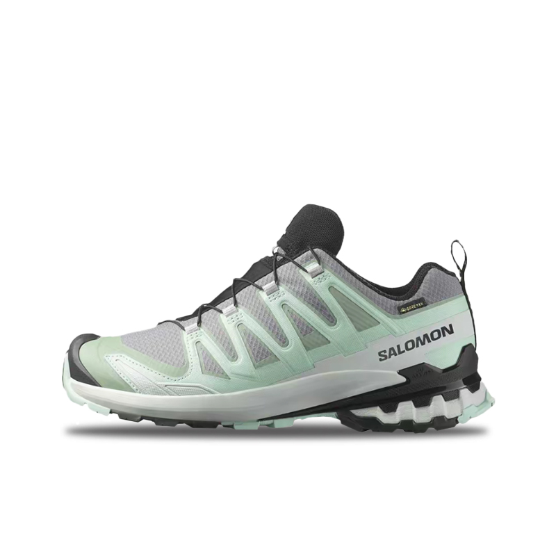 Salomon XA Pro 3D V9 GTX: Styl - Salomon Shoes Xa Pro 3D review and price